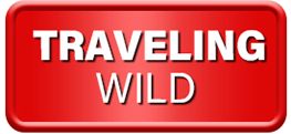 Traveling Wild