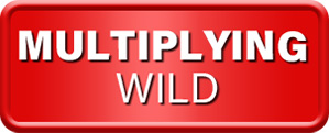 Multiplying Wild Symbol