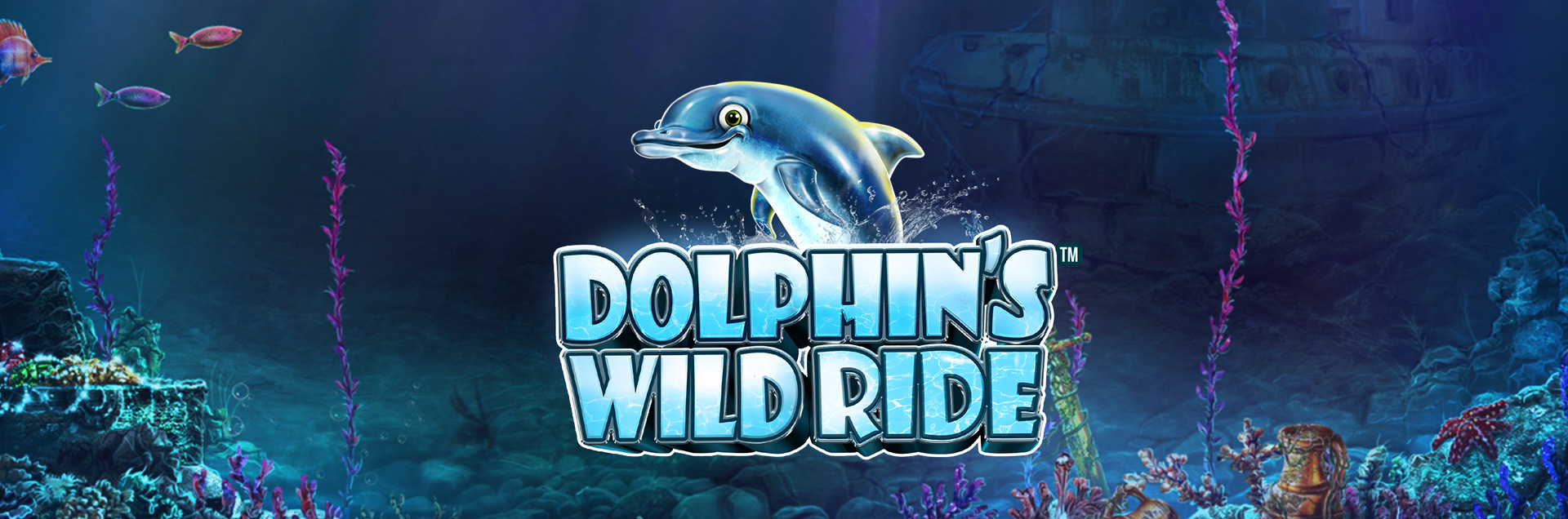 Dolphins Wild Ride header image final